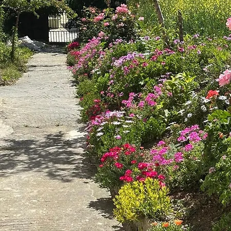 Maria's Town House With Private Parking Apartmán