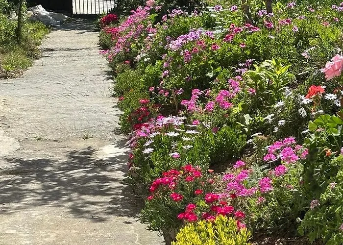 Maria's Town House With Private Parking Appartamento